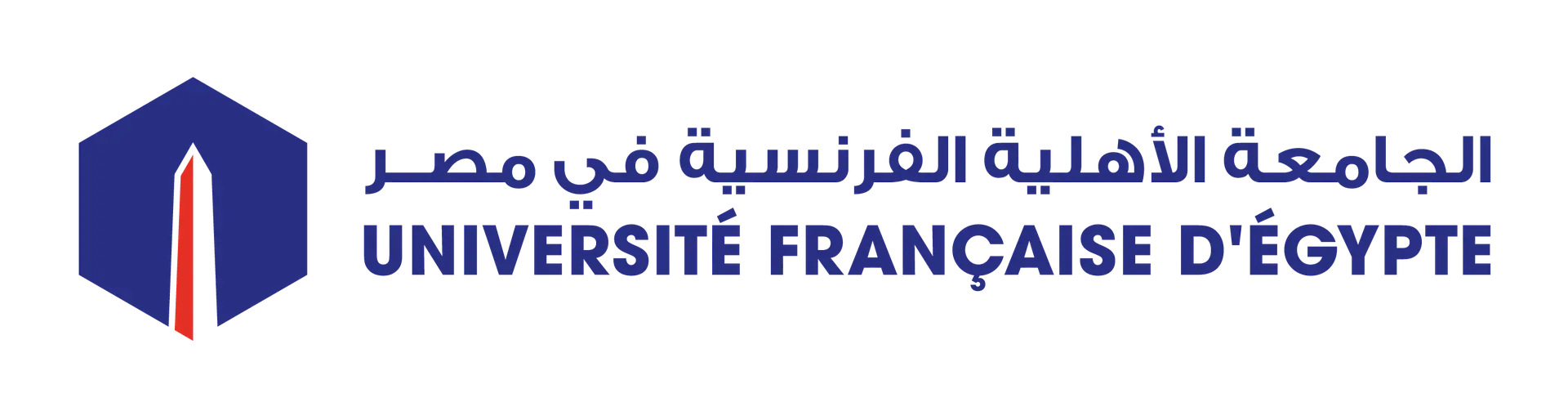 My Website